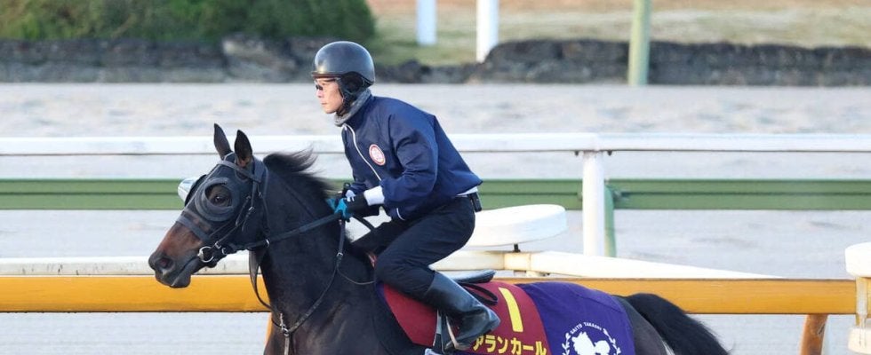 【阪神ＪＦ】良血アランカールは２枠４番　武豊騎手騎乗のマーゴットラヴミーは４枠７番　枠順確定