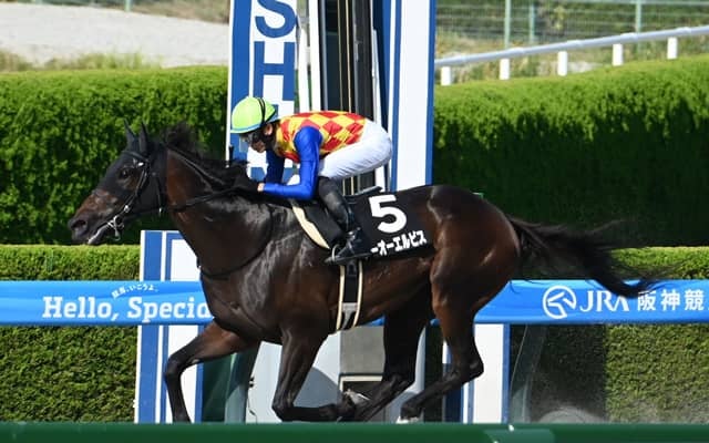 【カペラS枠順確定】テーオーエルビスは2枠4番、ヤマニンチェルキは8枠16番