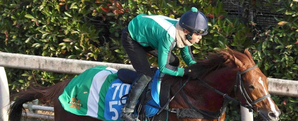 【中日新聞杯】堅実無比なシェイクユアハートに宮調教師も手応え　「今は具合がいい。前走だって強い競馬」