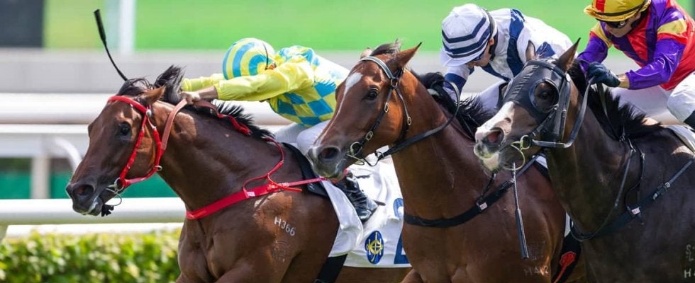 【阪神JF／データ攻略】スターアニスとマーゴットラヴミーの「買い or 消し」　人気想定2頭で“6年連続馬券内”該当は