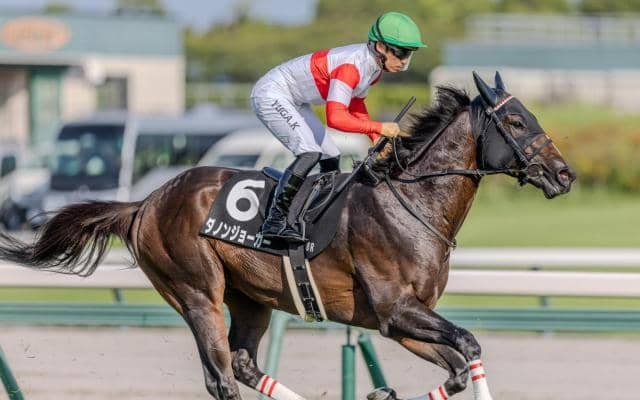 【一宮特別】母は米でG1含む重賞4勝 ダノンジョーカーが3連勝へ