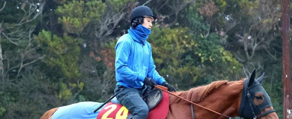 【阪神ＪＦ】３戦連続で逃げているラスティングスノーは７枠１５番　池上調教師「内を見ながらになる」