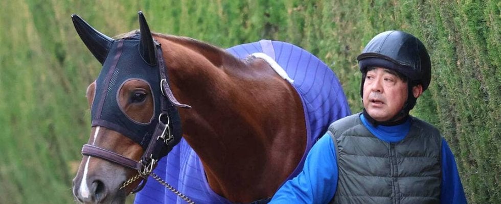 【阪神ＪＦ】赤松賞勝ちのヒズマスターピースは４枠８番　国枝調教師「武豊の隣だね。競ったりしないように」