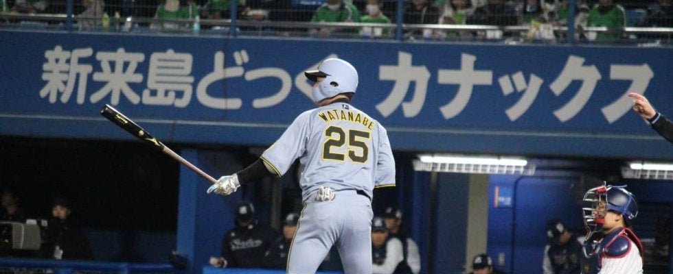 東海大甲府時代から騒がれた強打者が二軍球団・オイシックスへ！NPB組計5名を補強