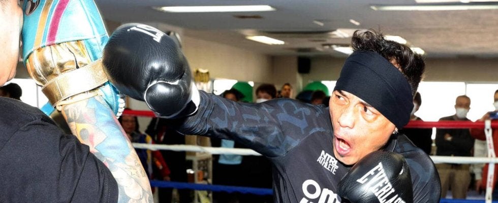 世界５階級王者ドネア、レイチェル夫人のミットに必殺の左フック炸裂　１７日・堤聖也戦へ公開練習