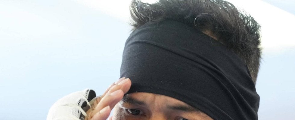 【ボクシング】王座統一へ暫定王者ドネアに強力援軍　元女子世界２階級王者が陣営にサポート帯同