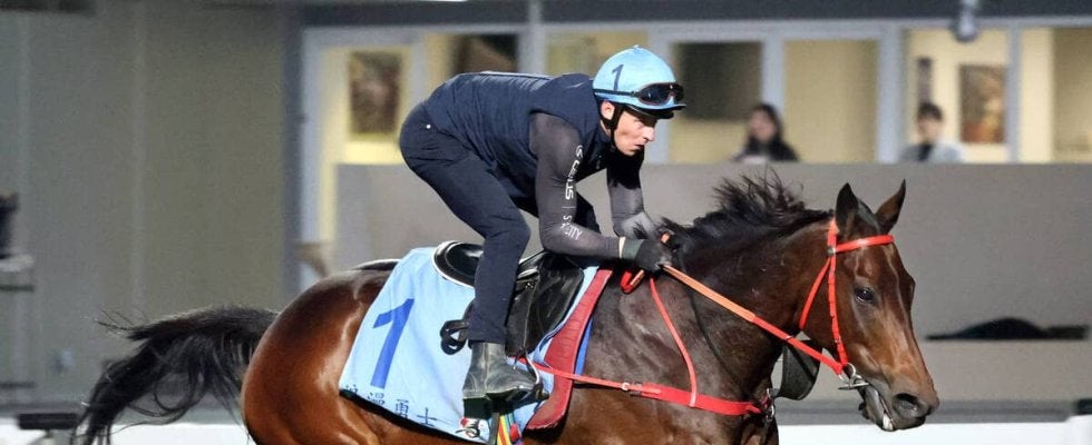 【香港カップ】４連覇に挑むロマンチックウォリアーの主戦マクドナルド騎手　日本馬２頭をライバルとして警戒