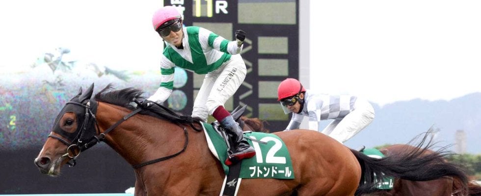 ２２年の函館２歳Ｓ覇者ブトンドールが引退　今後は生まれ故郷のノーザンファームで繁殖入りする予定