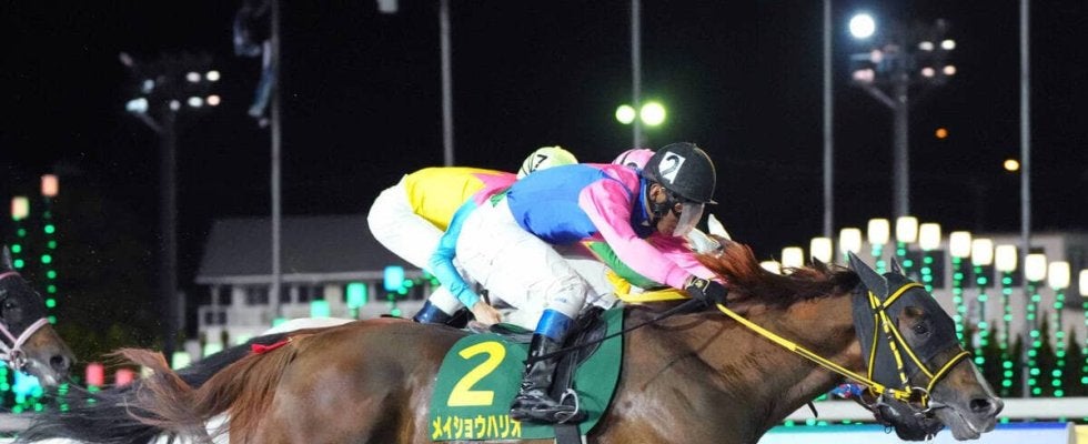 ダートＧ１級４勝のメイショウハリオが競走馬登録抹消　今後はイーストスタッドで種牡馬に