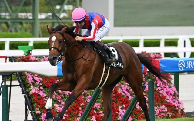 【中日新聞杯予想】一気の相手強化に戸惑う可能性大!? 斤量も見込まれた印象の軽視したい人気馬とは