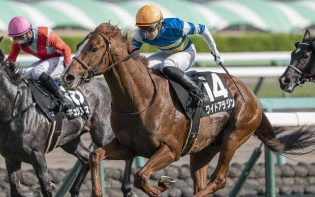 中山芝は前＆内ベター 常総Sはワイドアラジンに注目