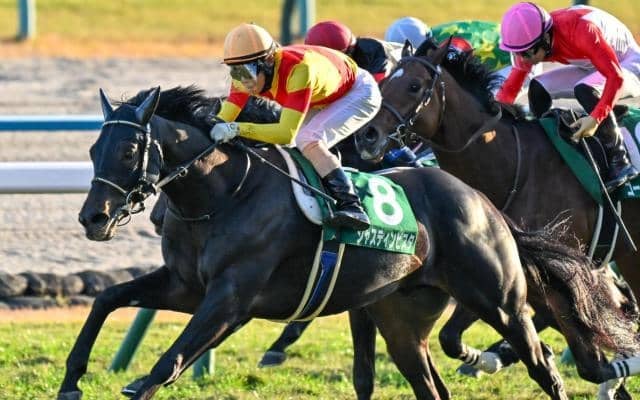 【ホープフルS想定馬・騎手】ジャスティンビスタ、ショウナンガルフなど16頭