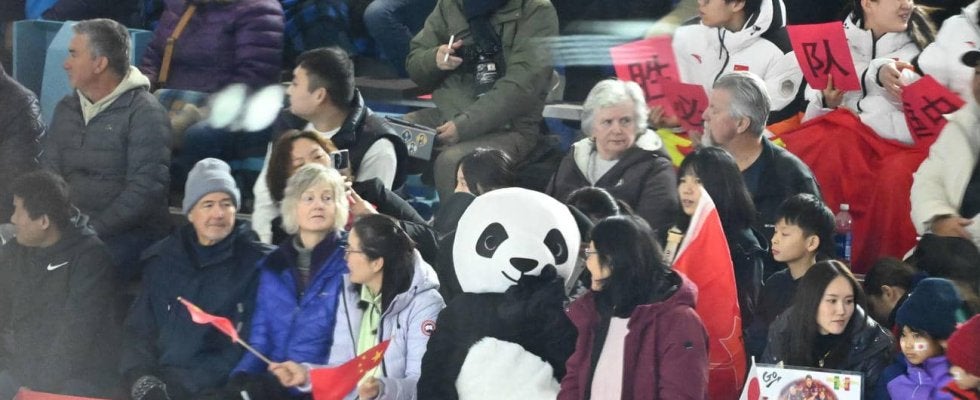 【カーリング】日本男子プレーオフに中国国旗を持つパンダ登場…最前列で「中国人協会」横断幕
