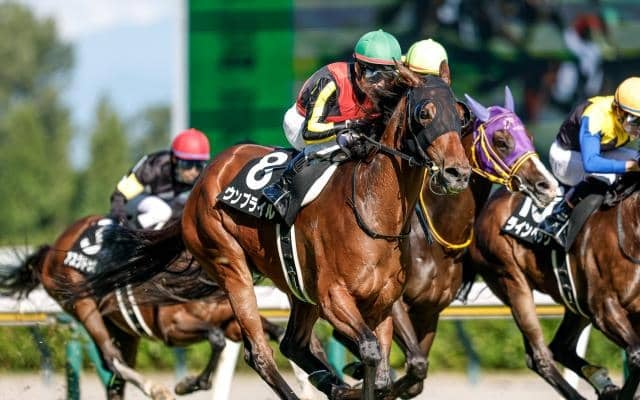 【ターコイズS想定馬・騎手】ウンブライル、ボンドガールなど20頭