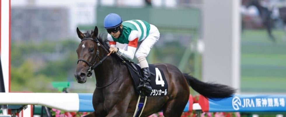 【阪神JF】良血アランカールは436kg…調教後の馬体重
