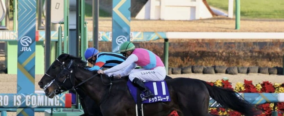 二刀流ドゥラエレーデが引退…種牡馬入りの予定