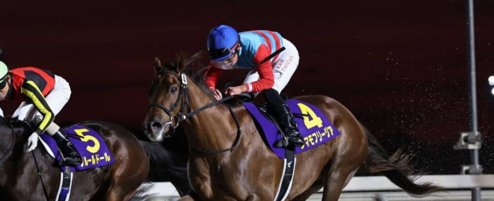 【全日本2歳優駿】2歳ダート王決定戦、JRA勢5頭、地方勢9頭が集結