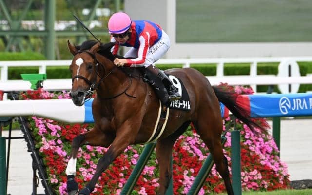 【今日の注目ポイント】中日新聞杯やベレシートが登場するエリカ賞など