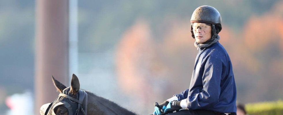 【阪神ＪＦ】アランカールは程よく気合が乗ってスムーズに登坂　斉藤崇調教師「昨日より落ち着いていました」