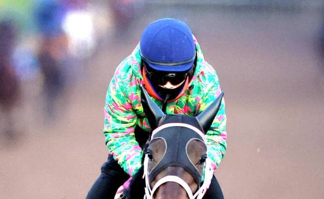 【阪神ＪＦ】実績が一枚上のタイセイボーグ　陣営「レースをたくさん経験しているのは強みだと思う」