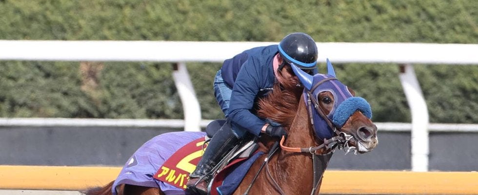 【阪神ＪＦ】アルバンヌは坂路を軽快に駆け上がり最終調整　陣営「力を出せる状態です」