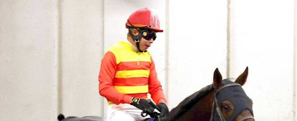 シリウスＳ連覇のハギノアレグリアスが競走馬登録を抹消　阪神競馬場で乗馬に