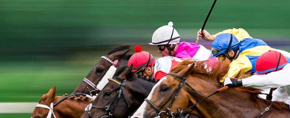 【阪神JF／穴ライズ】単勝オッズ“40倍以上”の爆穴に激走予告　強靭なメンタルと恵みの雨で急浮上する