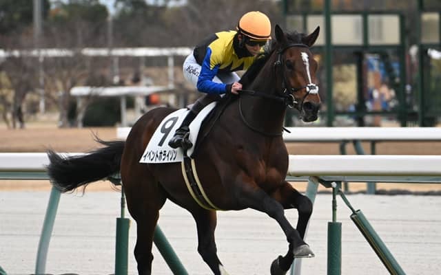 【中京5R新馬戦結果】ディアドラの全弟イベントホライゾンが快勝