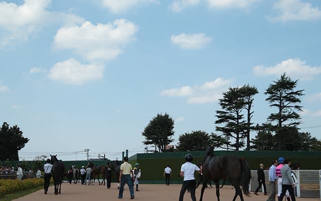 【中山5R新馬戦結果】ロゴタイプ産駒ベンヴェヌータが2番手から抜け出しV