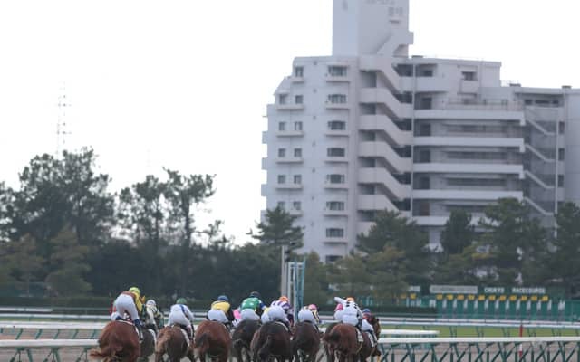 【つわぶき賞結果】8番人気プレセピオが競り合いを制す