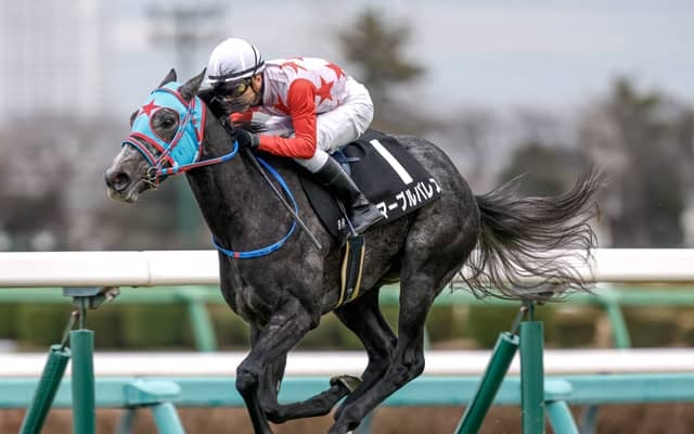 【黒松賞結果】6番人気マーブルパレスが逃げ切り快勝