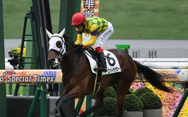 阪神芝は前優勢 阪神JFはマーゴットラヴミーの逃げ切りだ