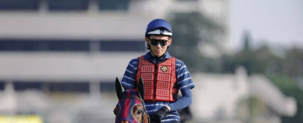 【香港マイル】二冠牝馬エンブロイダリーは10番ゲートから