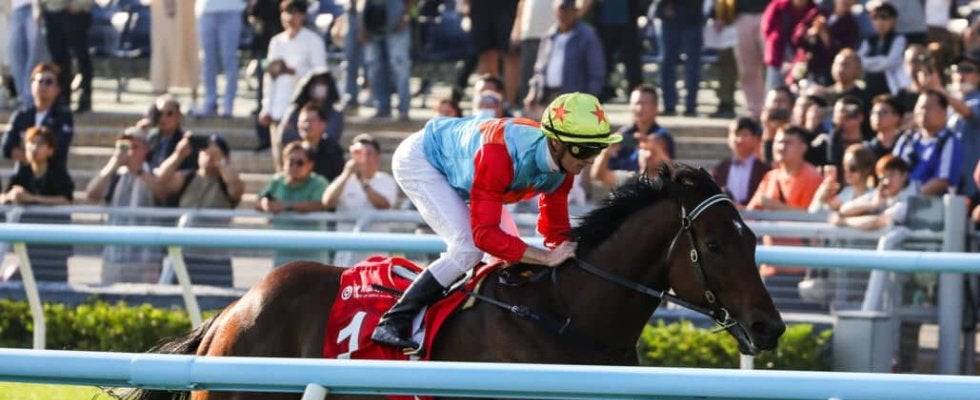 【香港スプリント】16連勝がかかるカーインライジングは1番ゲートから