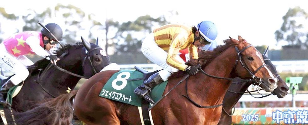 【中日新聞杯・レースメモ】ハーツクライ産駒が延べ１３頭の出走で初勝利！３番人気シェイクユアハート直線抜け出した