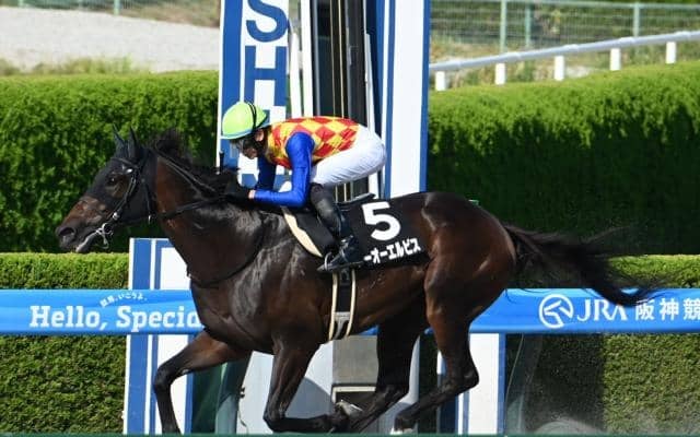 【カペラS予想】JRA唯一のダ1200m重賞 スピード能力を最優先に