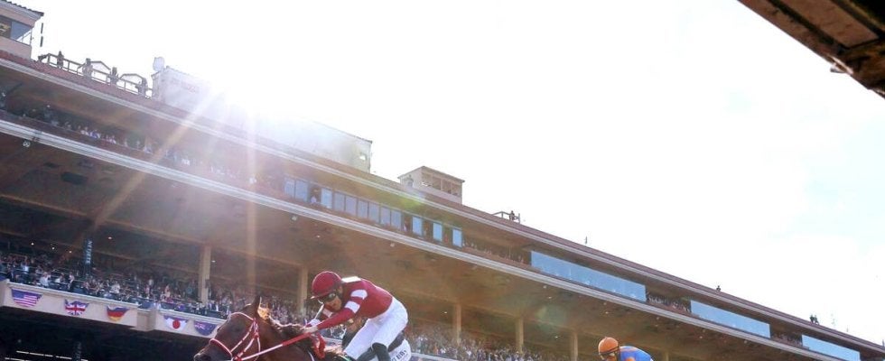 関西スポーツ賞に阪神、フォーエバーヤングでＢＣクラシック制覇の矢作芳人調教師＆坂井瑠星騎手らが受賞