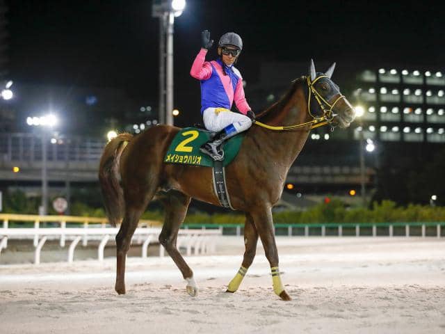 先週のJRA抹消馬】JpnI・4勝のメイショウハリオ、22年ホープフルS覇者