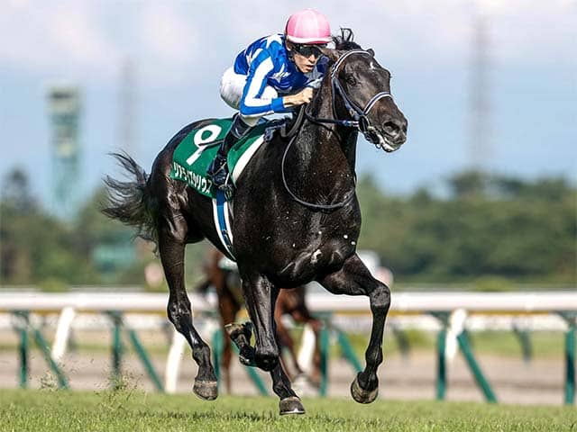 朝日杯FSは前走勝ち馬が圧倒的 17年連続で勝利中 | その他競技