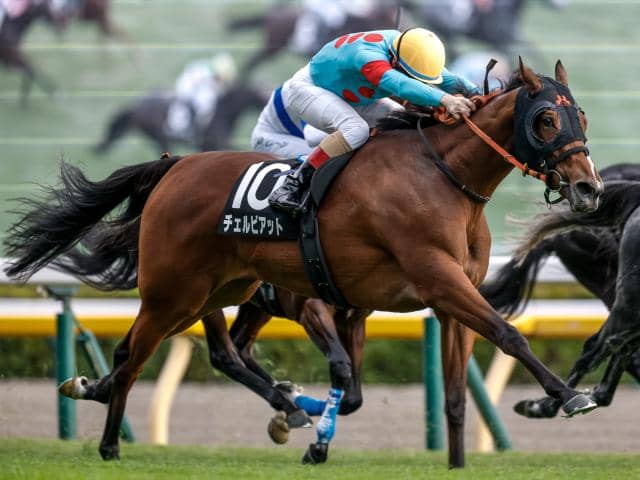 牝馬 今日の注目ポイント】中山で牝馬のハンデ重賞ターコイズS | その他競技