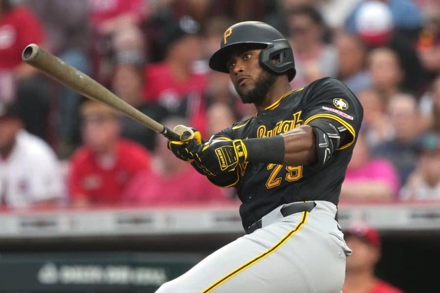 西武 カナリオ外野手と契約