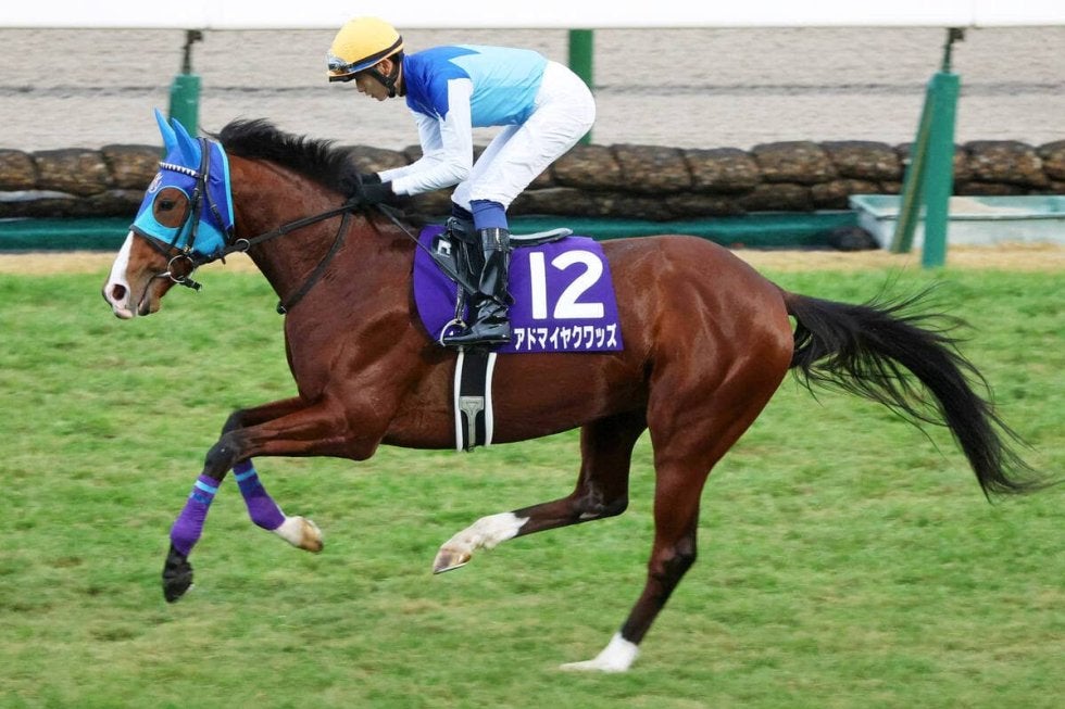 【注目馬動向】朝日杯ＦＳ３着のアドマイヤクワッズは皐月賞路線へ　友道調教師「距離はもつと前向きに考えたいです」