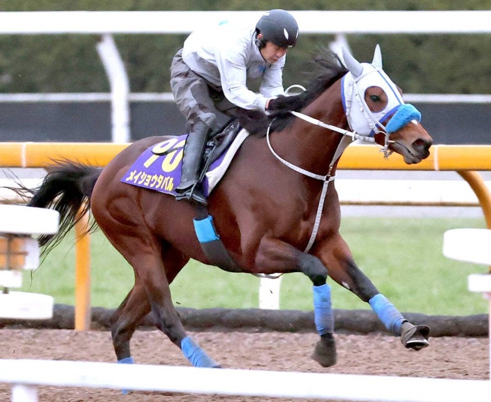 【有馬記念】メイショウタバルがＣＷコースで鋭く１１秒３　石橋調教師「思った通りの時計だし、良かったと思う」