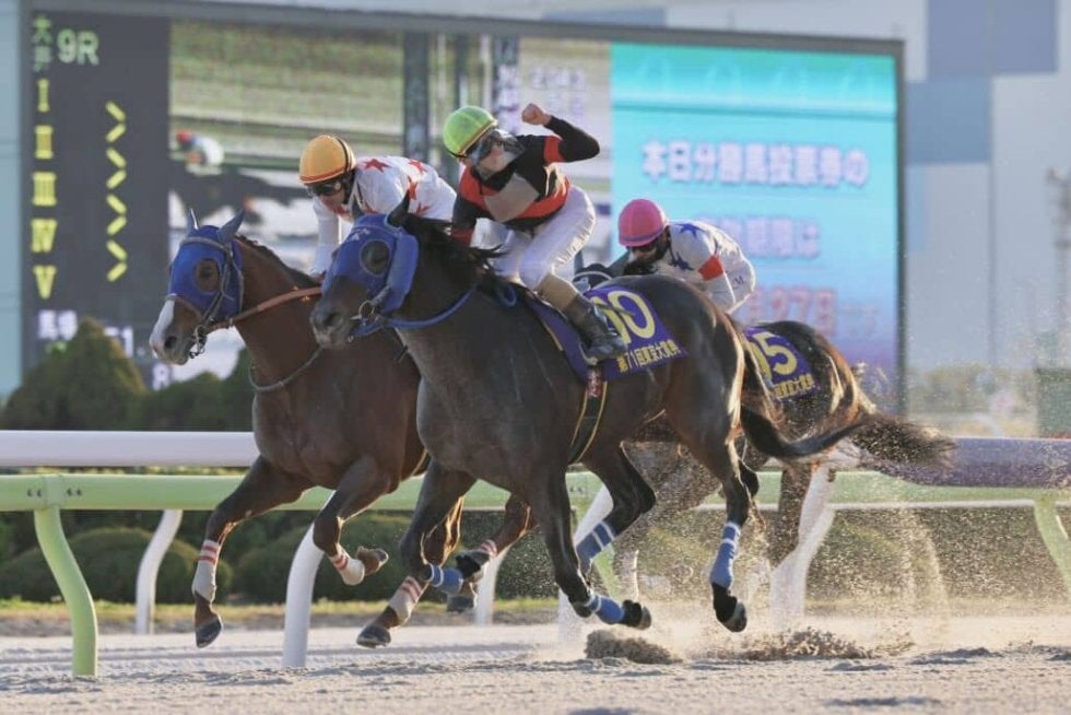 大井所属ディクテオンが大接戦を制する