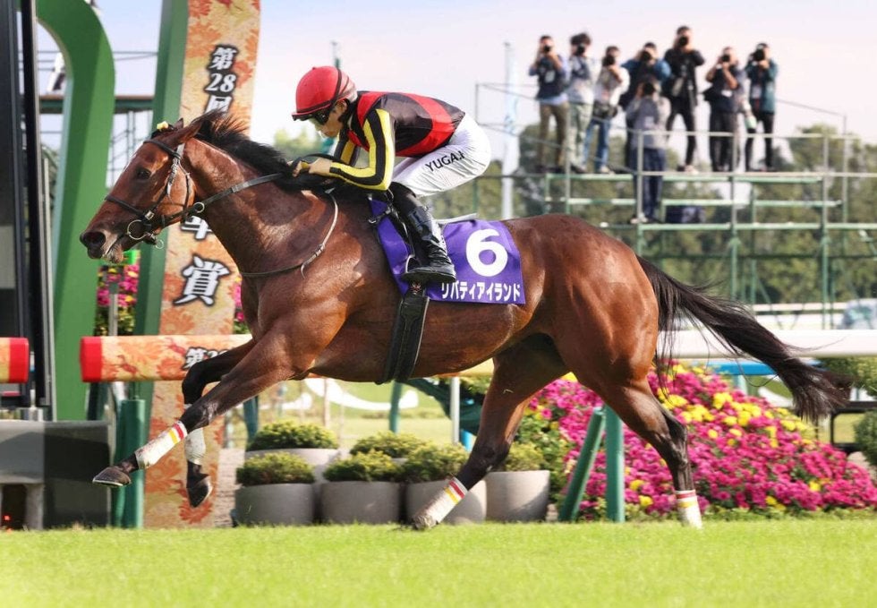 まねき馬 No.2470リバティアイランド追悼SP まねき馬 開封 追悼 SP 2470 リバティアイランド まねき馬倶楽部 競馬