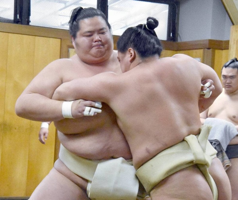 琴桜の復調に寄り添う推し活アイデア