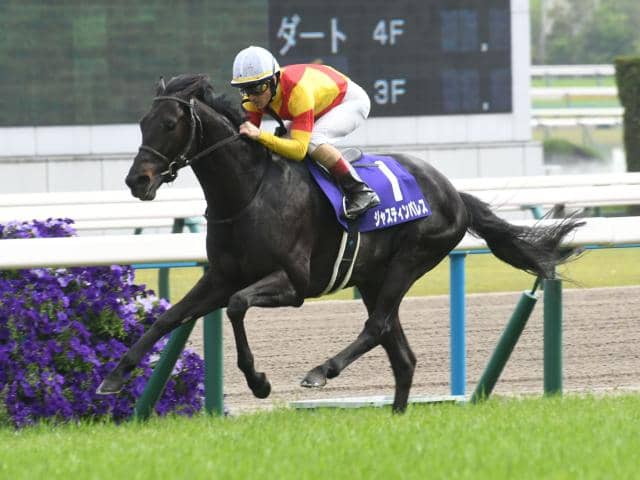 23年の天皇賞(春)覇者ジャスティンパレスが登録抹消 アロースタッドで種牡馬入り