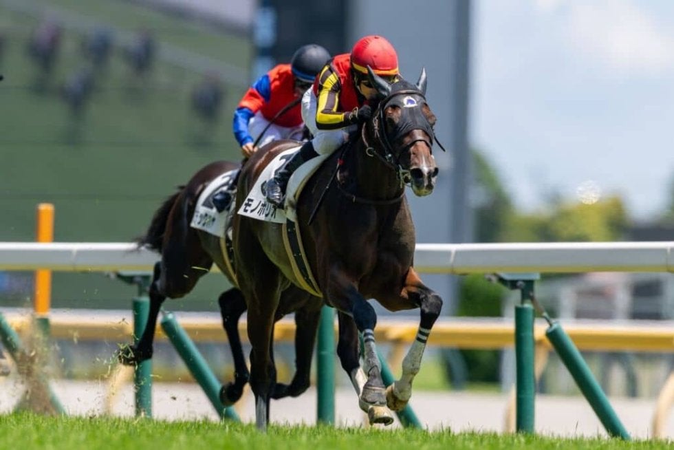 シンザン記念登録馬】モノポリオなど18頭 | その他競技