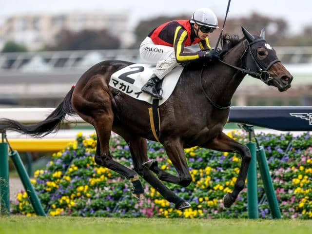 【フェアリーS展望】好走データに完全合致するマカレイが中心