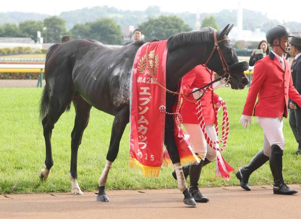 【ＰＯＧ】１４頭除外の抽選突破！！兄ハーデスに続け！全妹ニシノサリーナ１２日デビュー　橋口調教師「いい動きをします」